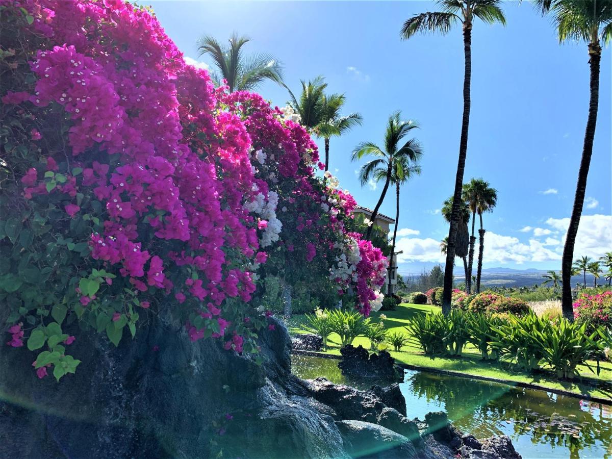 Coconut At Shores - Waikoloa Beach Resort المظهر الخارجي الصورة
