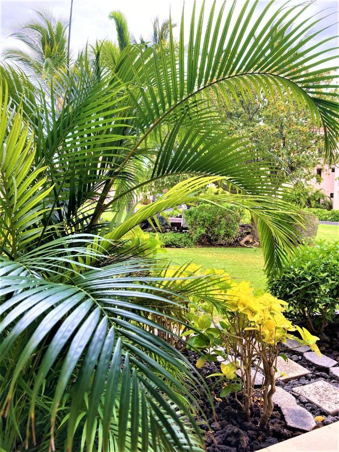Coconut At Shores - Waikoloa Beach Resort المظهر الخارجي الصورة